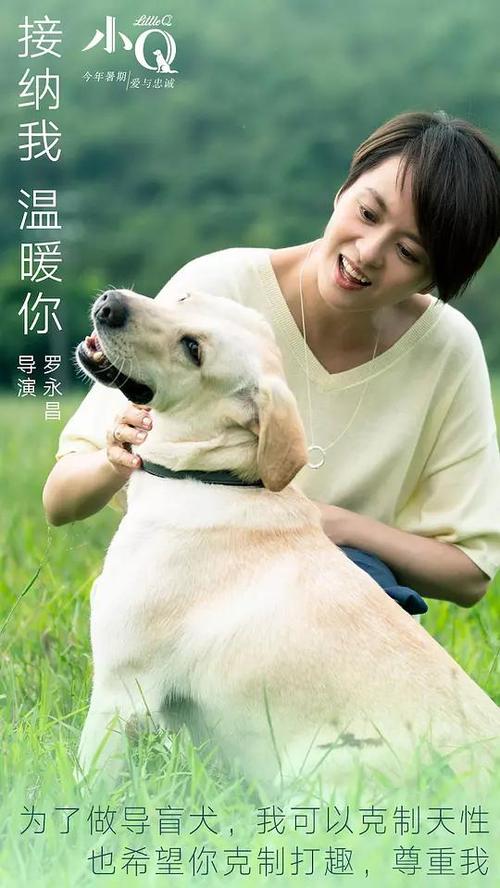 房产证复印件安全问题